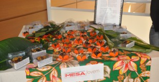 Anais 2010  “Sustentabilidade – O que a gastronomia pode fazer pelo planeta?